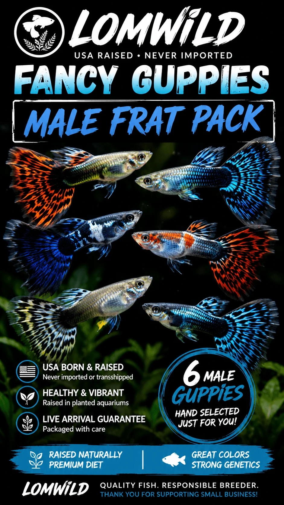 Male Fancy Guppy Frat Pack